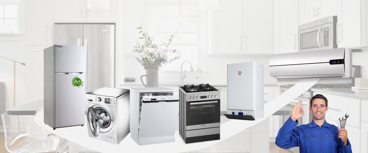 Gölova Electrolux Servisi